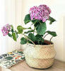 FLADIS Basket, Seagrass, 25cm