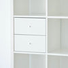 KALLAX insert with 2 drawers, White