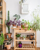 FORHOJA Kitchen trolley, 100x43cm, Birch
